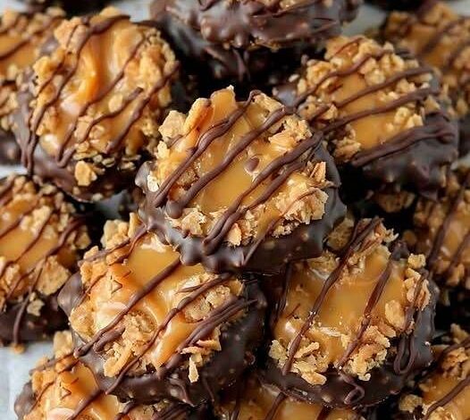 Easy No-Bake Samoa Cookies