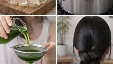 Homemade Aloe Vera Hair Oil